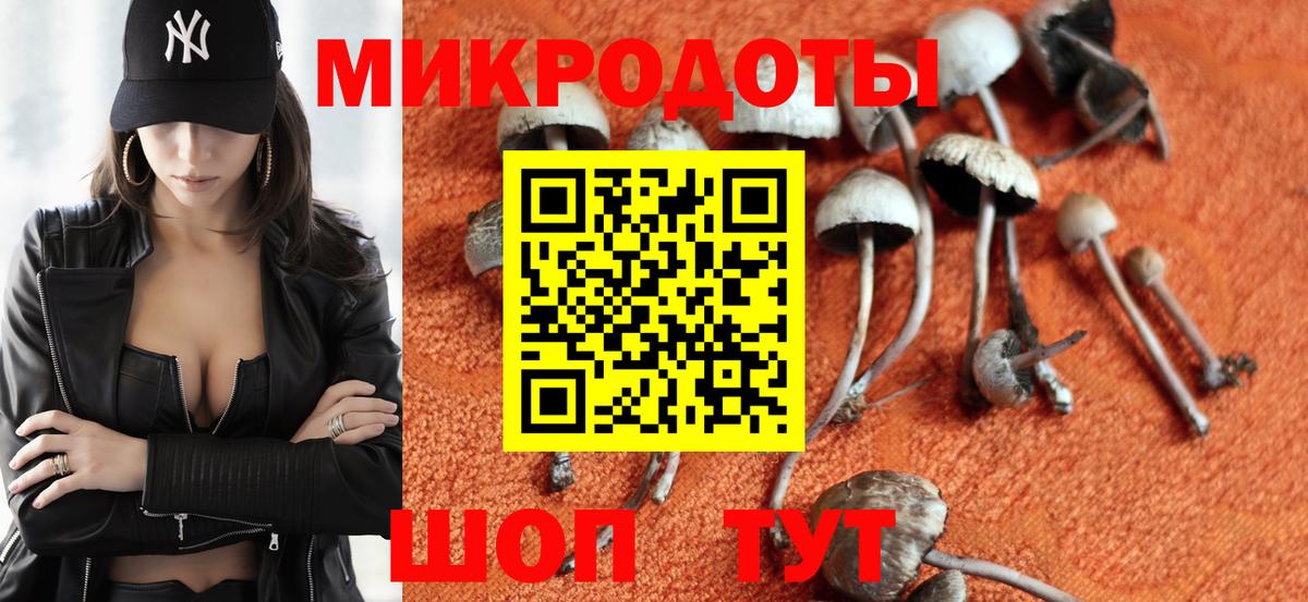 Псилоцибиновые грибы GOLDEN TEACHER  Вход с VPN  Шарыпово 