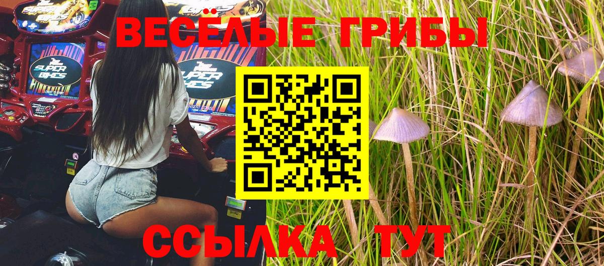 Галлюциногенные грибы мицелий Шарыпово